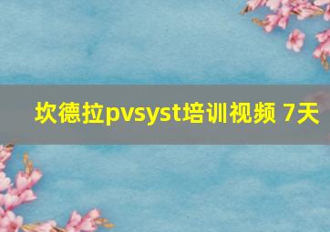 坎德拉pvsyst培训视频 7天